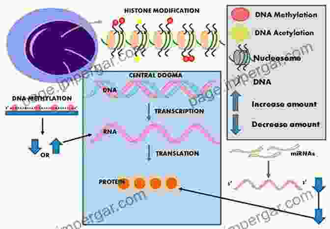 A Depiction Of Epigenetic Modifications Influencing Gene Expression In A Cell. Chemical Diagnostics: From Bench To Bedside (Topics In Current Chemistry 336)