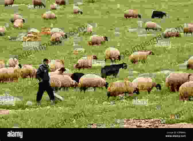 A Flock Of Sheep Grazing Peacefully In A Meadow, With A Shepherd Tending To Them Counting Sheep: A Celebration Of The Pastoral Heritage Of Britain