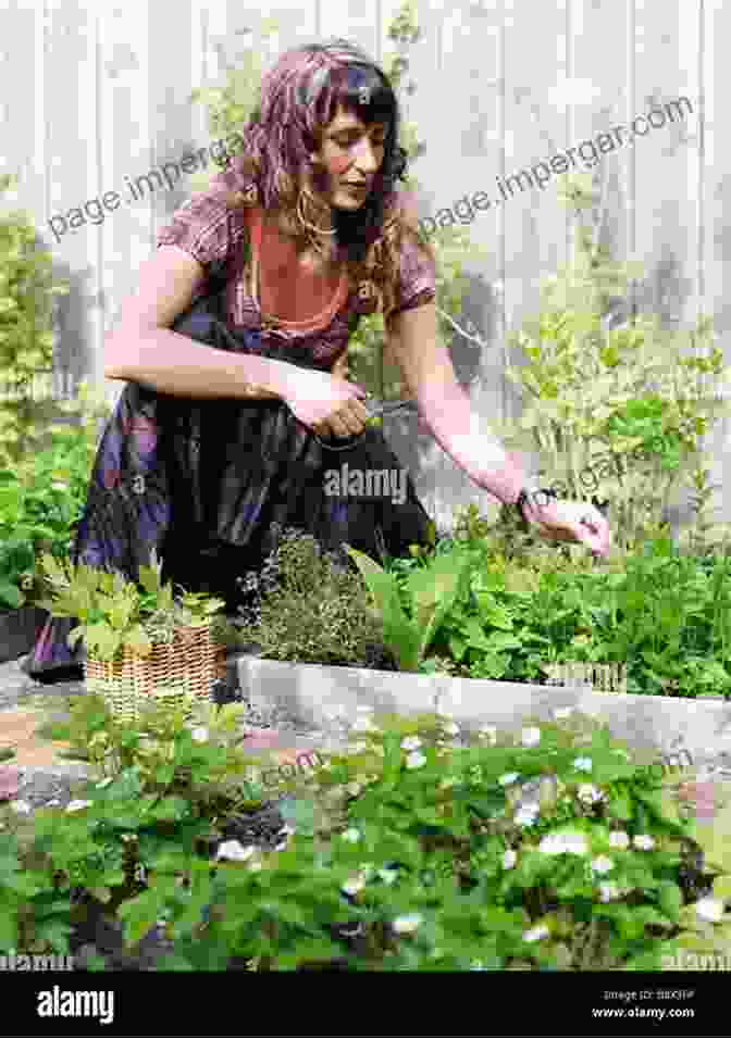 A Photograph Of A Person Gathering Herbs In A Lush Garden. Hedge Witch: A Guide To Solitary Witchcraft