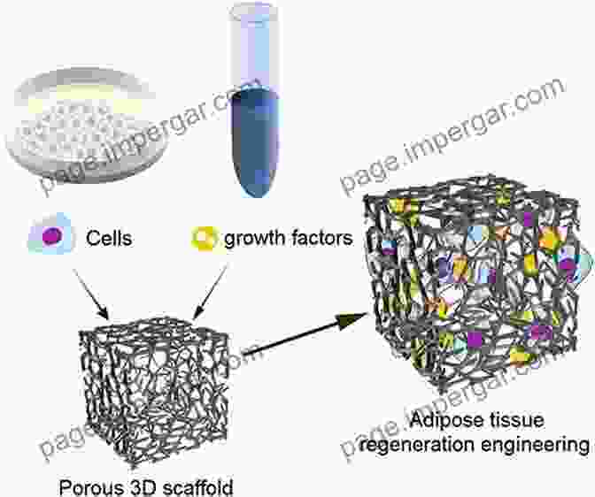 A Scanning Electron Microscope Image Of A Biomaterial Scaffold Promoting Tissue Growth. Chemical Diagnostics: From Bench To Bedside (Topics In Current Chemistry 336)