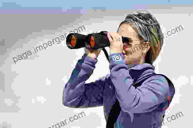 A Woman With Binoculars Carefully Scans The Horizon, Demonstrating The Techniques Of Bird Observation. The Art Of Bird Finding: Before You ID Them You Have To See Them