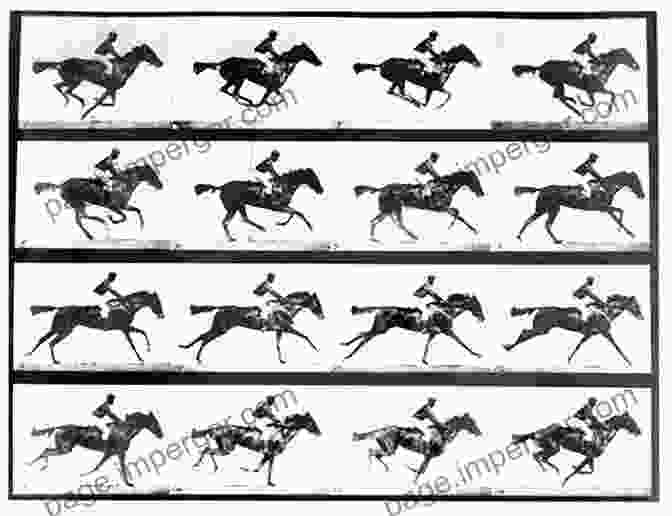 Animated GIF Of Muybridge's Iconic Horse Galloping Sequence Muybridge And Mobility (Defining Moments In Photography 6)