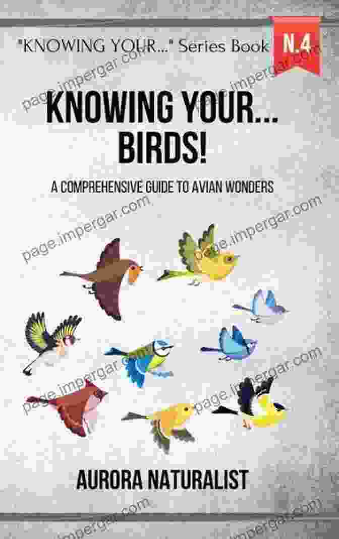 Birds The Inside Story A Vibrant And Comprehensive Guide To The Wonders Of The Avian World. Birds The Inside Story: Exploring Birds And Their Behaviour In Southern Africa