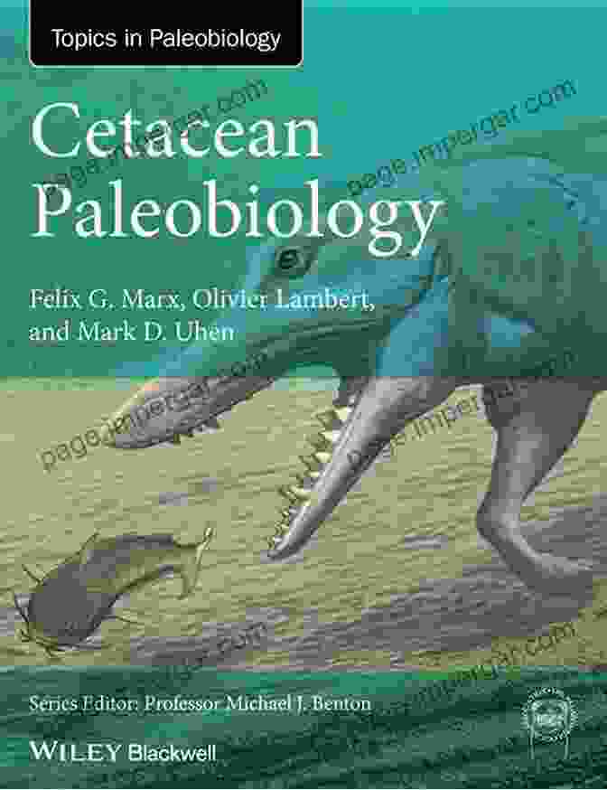 Cetacean Fossil Discovery Cetacean Paleobiology (TOPA Topics In Paleobiology)