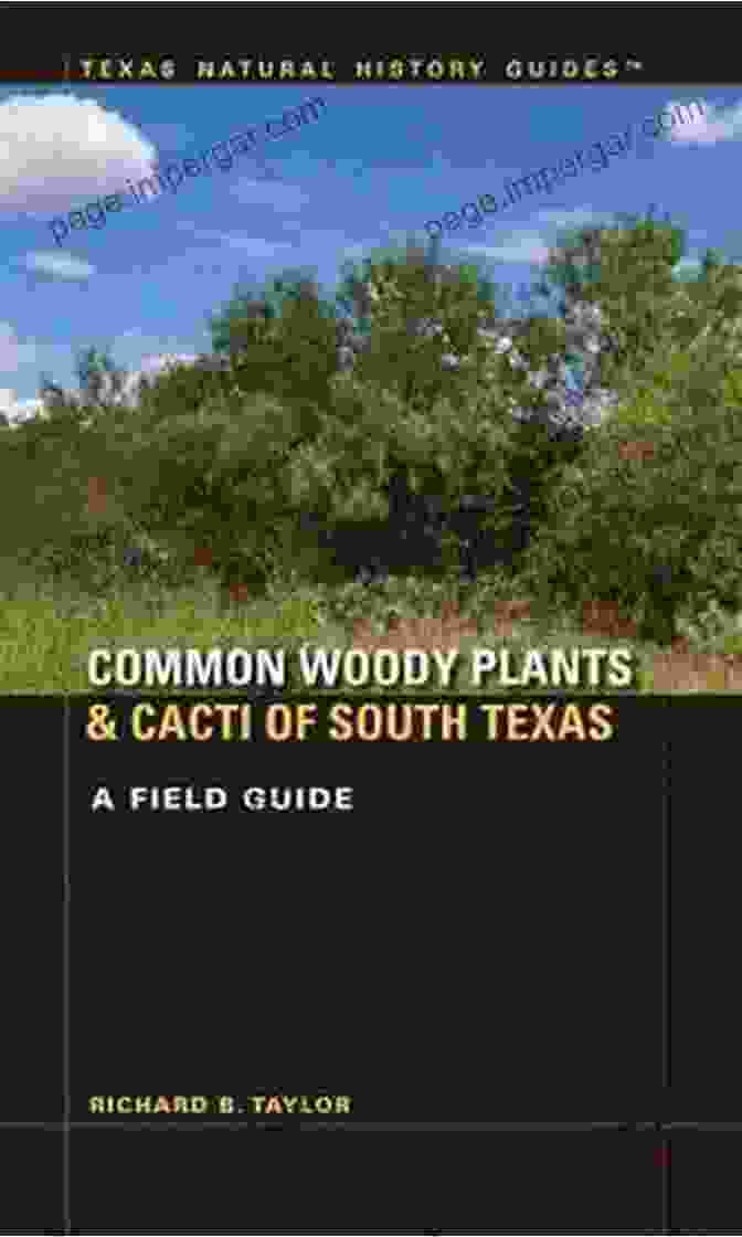 Cover Of 'Common Woody Plants And Cacti Of South Texas,' Showcasing Its Elegant Design And Informative Content. Common Woody Plants And Cacti Of South Texas: A Field Guide (Texas Natural History Guides)