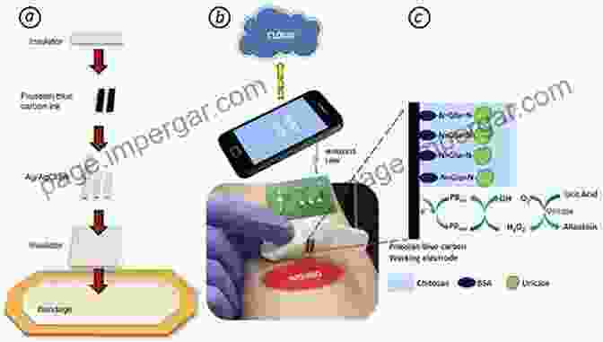 Electrochemical Sensing For Healthcare And Environmental Monitoring Modern Aspects Of Electrochemistry 40 Ralph E White