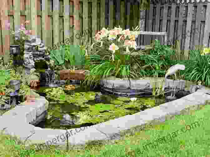 Garden Pond Building Guide Garden Pond Building Guide: How To Make Your Own Garden Pond: Garden Pond Building Guide