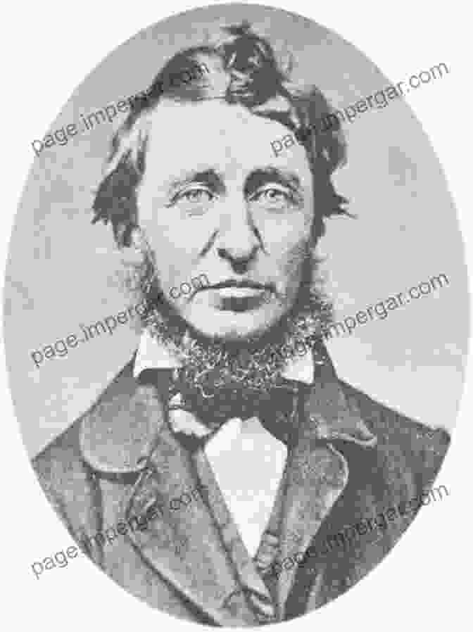 Henry David Thoreau, A Prominent Figure Of The Transcendentalist Movement, Is Widely Recognized For His Writings On Nature, Philosophy, And Civil Disobedience. The Essential Thoreau Stephen F Arno