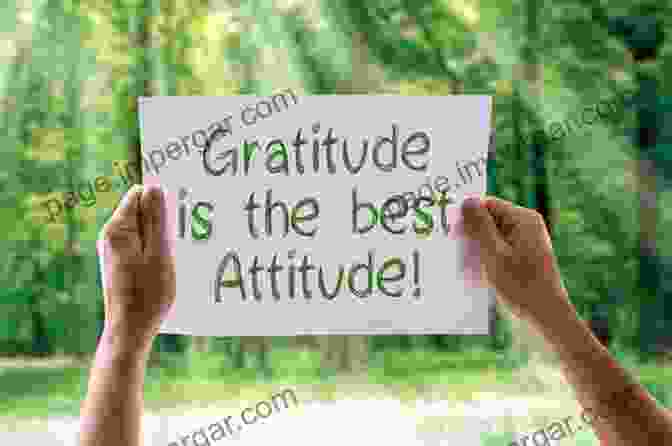 Image Of A Person Practicing Gratitude Positive Mindset Mastery 2 In 1: Develop A Positive Mindset And Attract The Life Of Your Dreams + How To Stop Being Negative Angry And Mean