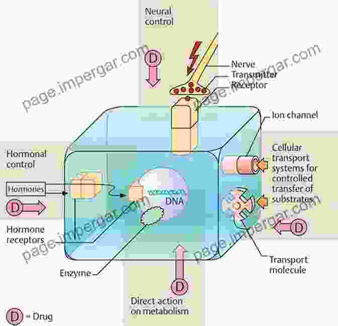 Mechanisms Of Drug Action And Pharmacokinetics A To Z Pharmacology Summary