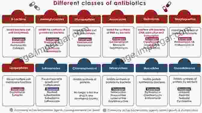 Overview Of Major Drug Classes A To Z Pharmacology Summary