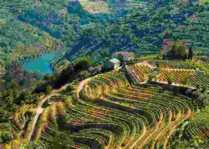 Rolling Hillsides Adorned With Ancient Vineyards In The Douro Valley, Portugal Port And The Douro (The Infinite Ideas Classic Wine Library)