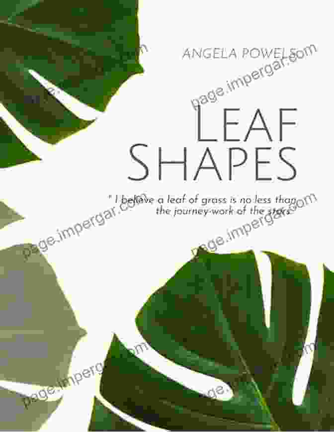 The Life Of Leaf Book Cover Featuring A Vibrant Leaf Against A Serene Backdrop The Life Of A Leaf