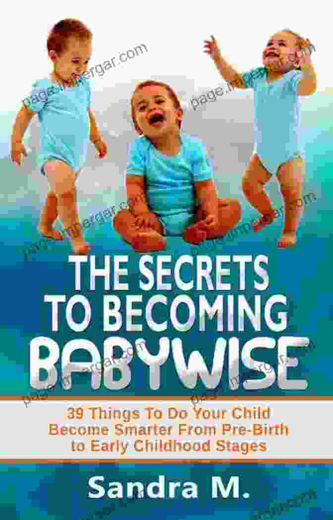 The Secrets To Becoming Babywise Book Cover THE SECRETS TO BECOMING BABYWISE: 39 Things To Do Your Child Become Smarter From Pre Birth To Early Childhood Stages