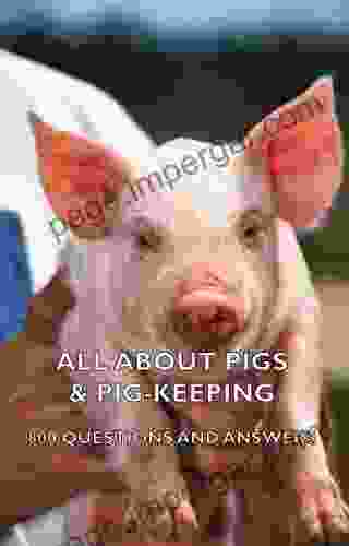 All About Pigs Pig Keeping 800 Questions And Answers