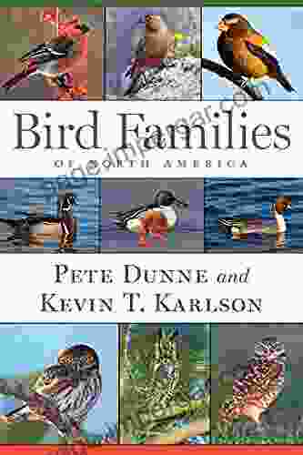 Bird Families Of North America