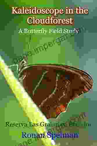 Kaleidoscope In The Cloud Forest: A Butterfly Field Study