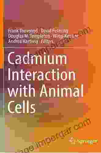 Cadmium Interaction With Animal Cells (Springerbriefs In Molecular Science)