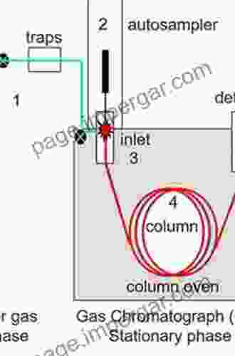 Gas Liquid Solid Chromatography (Chromatographic Science 56)