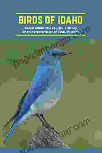 Birds Of Idaho: Learn About The Species History And Characteristics Of Birds In Idaho