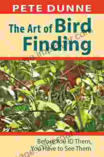 The Art Of Bird Finding: Before You ID Them You Have To See Them