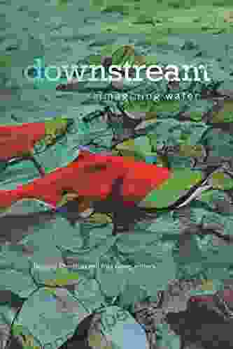 Downstream: Reimagining Water (Environmental Humanities)