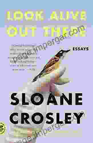 Look Alive Out There: Essays