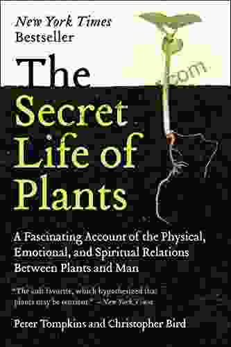 The Secret Life Of Plants: A Fascinating Account Of The Physical Emotional And Spiritual Relations Between Plants And Man