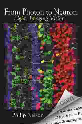 From Photon To Neuron: Light Imaging Vision