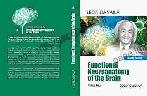 Functional Neuroanatomy Of The Brain: Third Part: Second EDITION