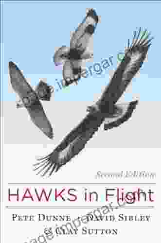 Hawks In Flight: Second Edition