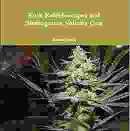 Kush Kaleidoscopes And Stereograms: Volume One