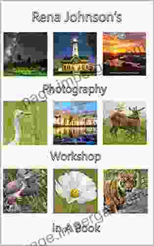 Rena Johnson S Photography Workshop In A Book: Learn Everything You Need To Know To Improve Your Digital Photography In A Few Hours Such As Settings Controls Composition Lighting Equipment Etc