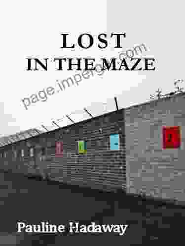 Lost In The Maze (Belfast Exposed 1)