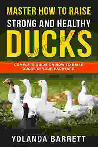 Master How To Raise Strong And Healthy Ducks: Complete Guide On How To Raise Ducks In Your Backyard (First Timers)