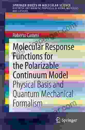 Molecular Response Functions For The Polarizable Continuum Model: Physical Basis And Quantum Mechanical Formalism (SpringerBriefs In Molecular Science)