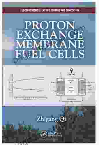 Proton Exchange Membrane Fuel Cells