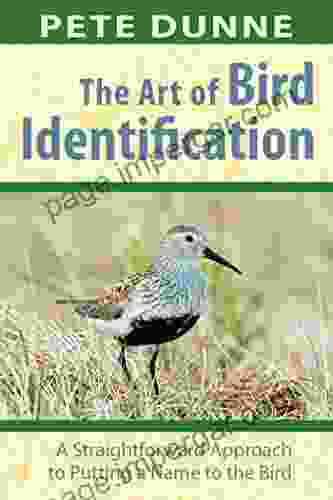 The Art Of Bird Identification: A Straightforward Approach To Putting A Name To The Bird