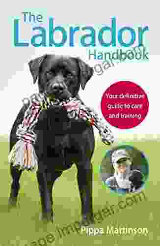 The Labrador Handbook: The Definitive Guide To Training And Caring For Your Labrador