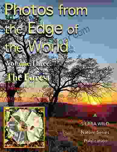 Photos From The Edge Of The World: Volume Three: The Forest (Sierra Wild Nature Series)