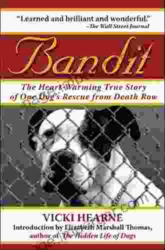 Bandit: The Heart Warming True Story Of One Dog S Rescue From Death Row