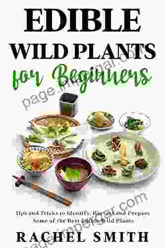 Edible Wild Plants For Beginners: Tips And Tricks To Identify Harvest And Prepare Some Of The Best Edible Wild Plants