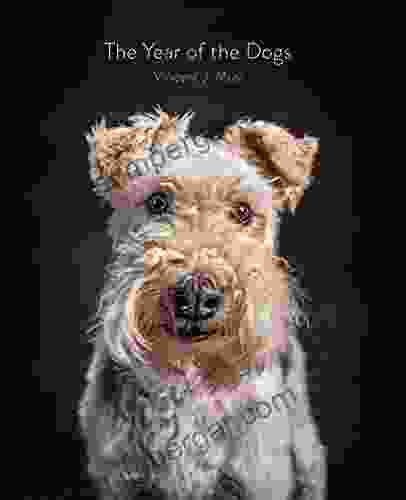 The Year Of The Dogs