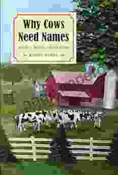 Why Cows Need Names: And More Secrets Of Amish Farms