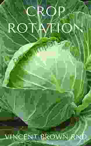 CROP ROTATION: Effective Guide On Crop Rotation And Its Healthiness On Organic Farm