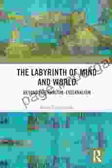 The Labyrinth Of Mind And World: Beyond Internalism Externalism