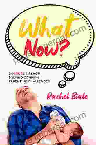 What Now?: 2 Minute Tips For Solving Common Parenting Challenges