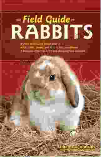 The Field Guide to Rabbits (Field Guide To (Voyageur Press))