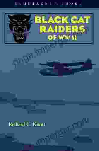 Black Cat Raiders Of WW II