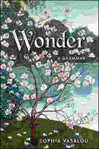 Wonder: A Grammar Sophia Vasalou